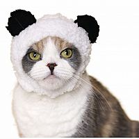 Clever Idiots' Cat Cap Bear Blind Box