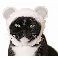 Clever Idiots' Cat Cap Bear Blind Box