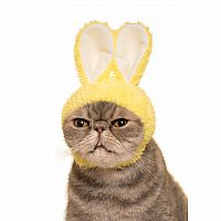 Clever Idiots' Cat Cap Rabbit Blind Box