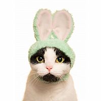 Clever Idiots' Cat Cap Rabbit Blind Box
