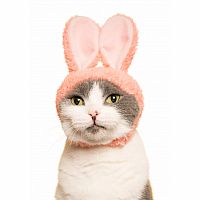Clever Idiots' Cat Cap Rabbit Blind Box